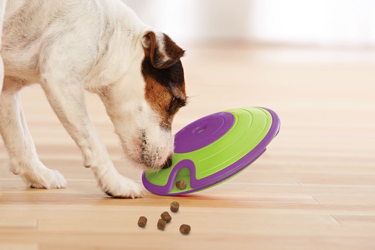 INTERACTIVE DOG TOYS HOW TO PICK THE BEST GAME FOR YOUR PUP