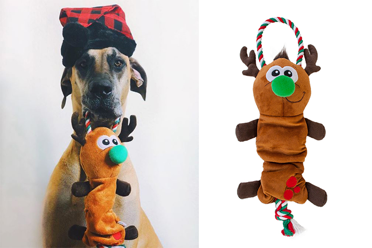 dogs dressed up for christmas