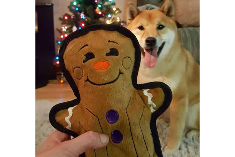 christmas toys for dogs