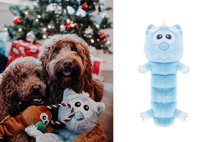 cute christmas dog photos