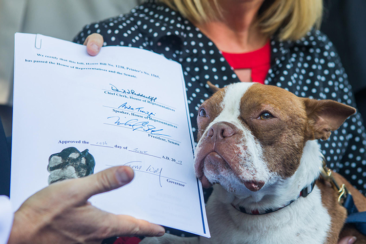 Libre's Law passed in Pennsylvania law protecting dogs left outside in the cold