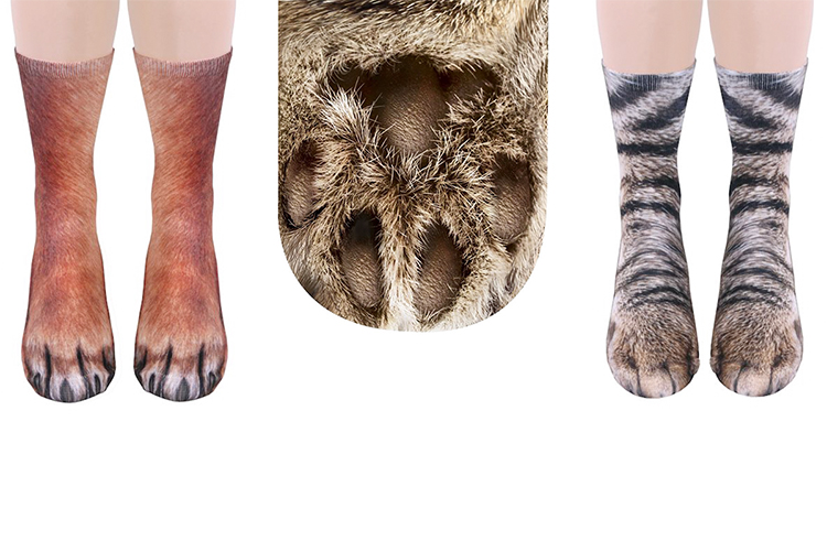 Dog Paw Socks | How To Get Socks That Look Like Animal Feet