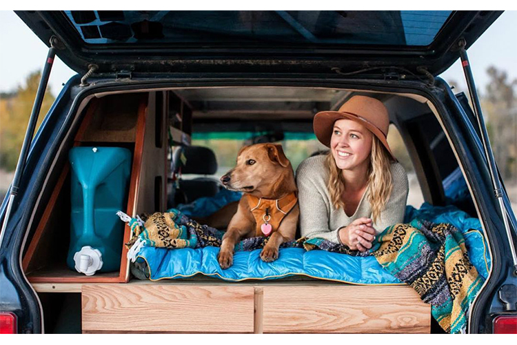 14 Humans that Live the Van Life with a Dog or Cat | BuzzWoof at Outward Hound