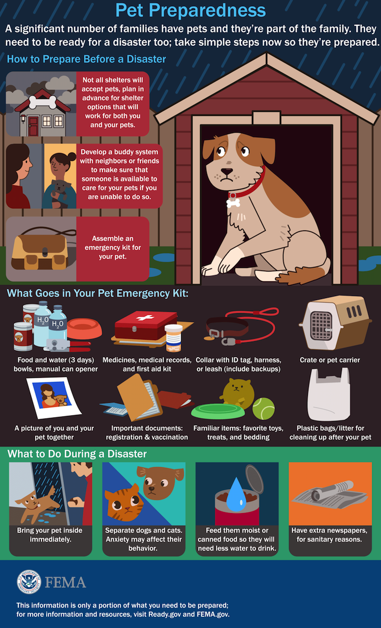 pets in hurricanes check list