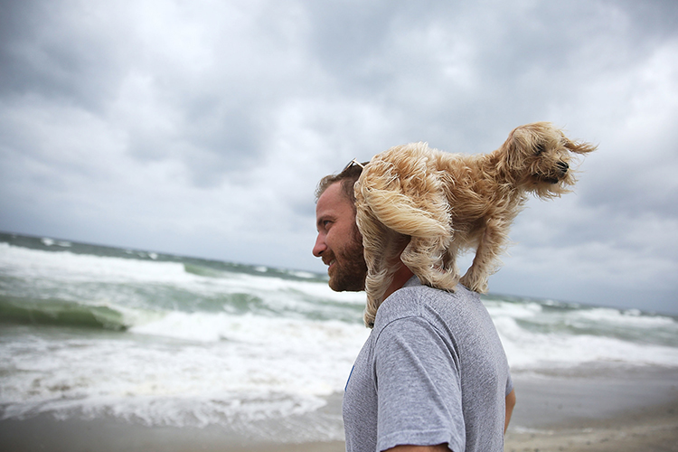 man and dog at beach before hurricane