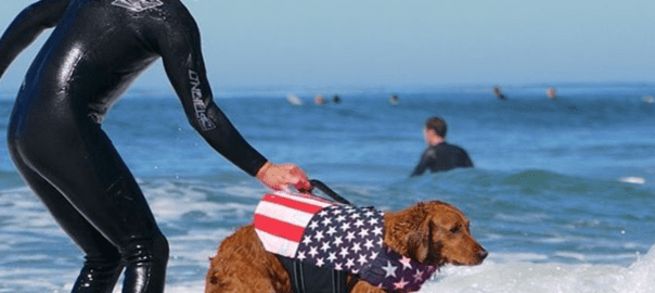 Ricochet – A Surfing Dog Who Pays It Forward