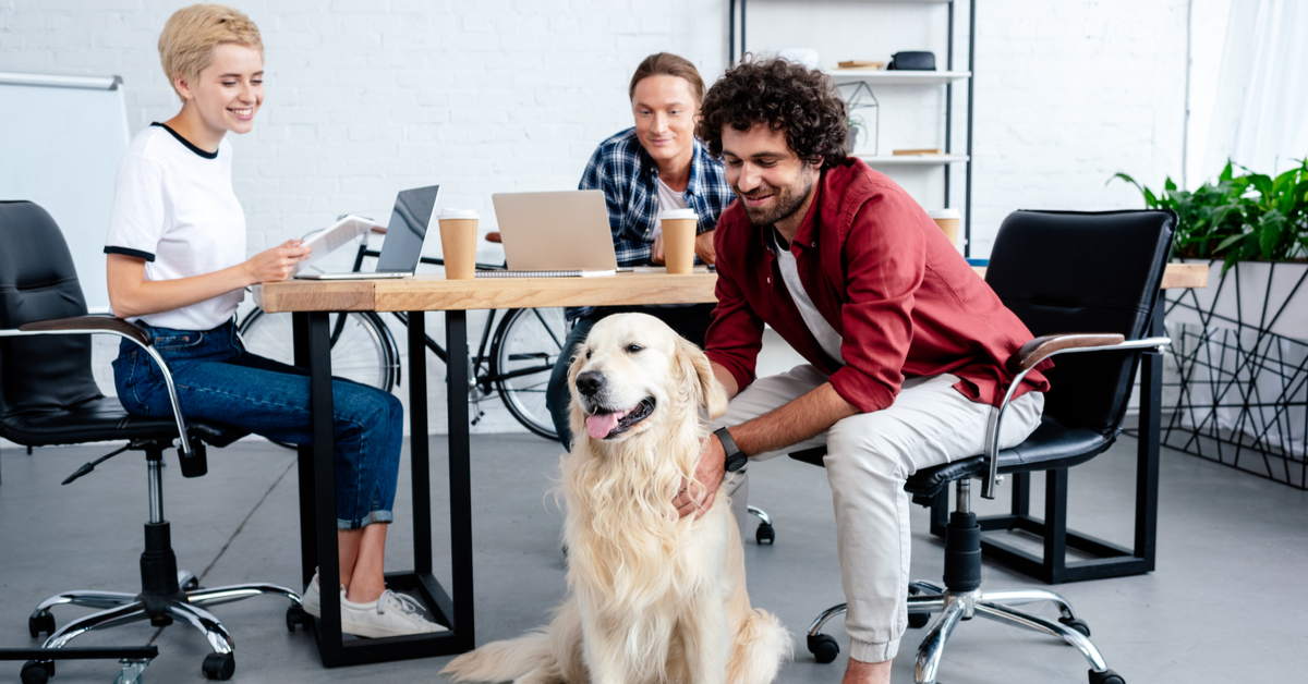 Why Every Workplace Should Have an Office Dog