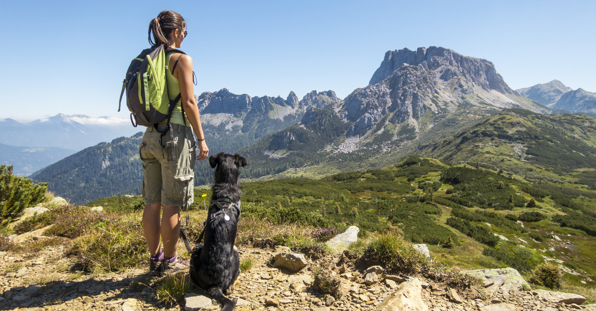 hiking with your dog at dog-friendly national parks