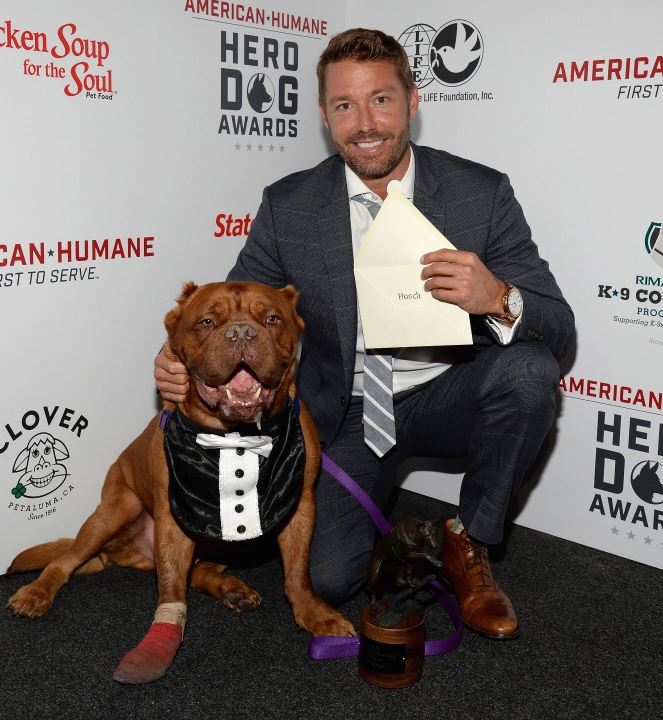 Meet the Most Heroic Dogs of 2016