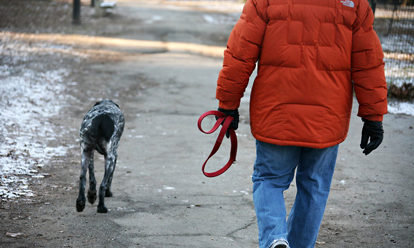 WEIGH IN: SHOULD DOGS BE KEPT ON LEASHES?