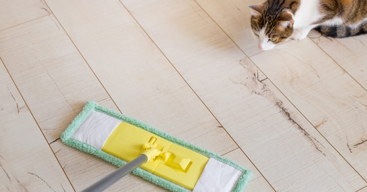10 Ingenious Ways to Get Rid of Pet Hair From Anywhere