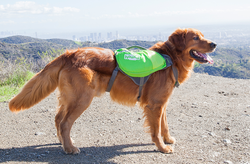 Outward Hound Day Pack 2024 jasterluis