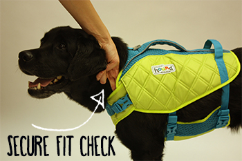 The Differences Between Outward Hound Dog Life Jackets – Furtropolis