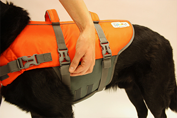 outward hound granby splash dog life jacket