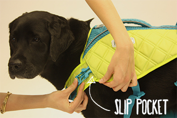 The Differences Between Outward Hound Dog Life Jackets – Furtropolis