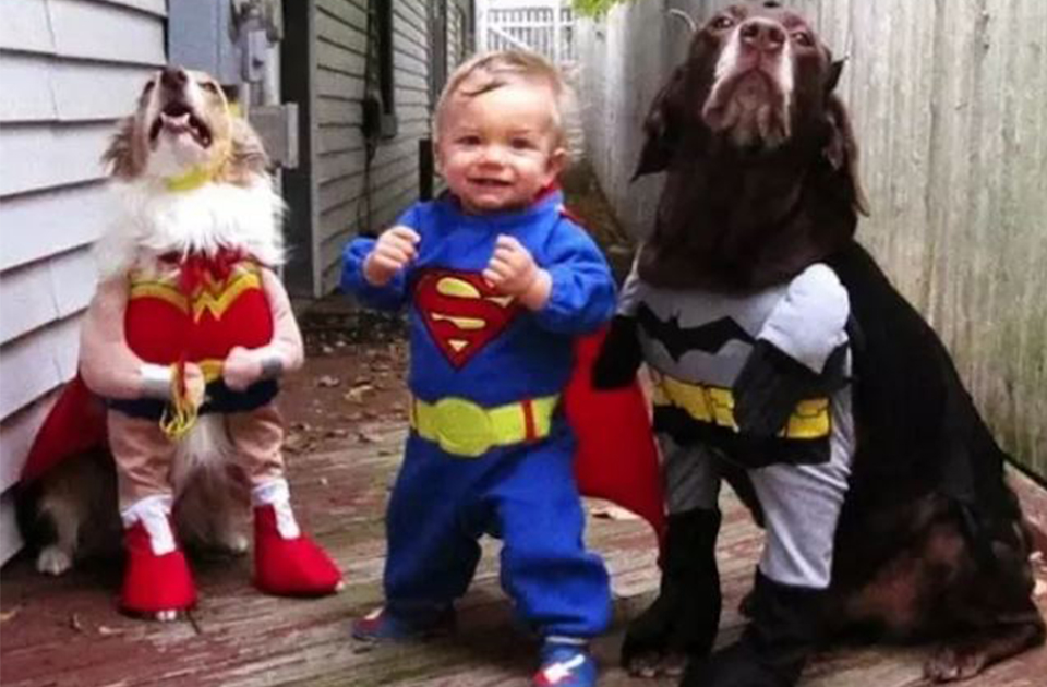 13 DOGS WHO PROVE HALLOWEEN IS BETTER WITH 4 LEGS
