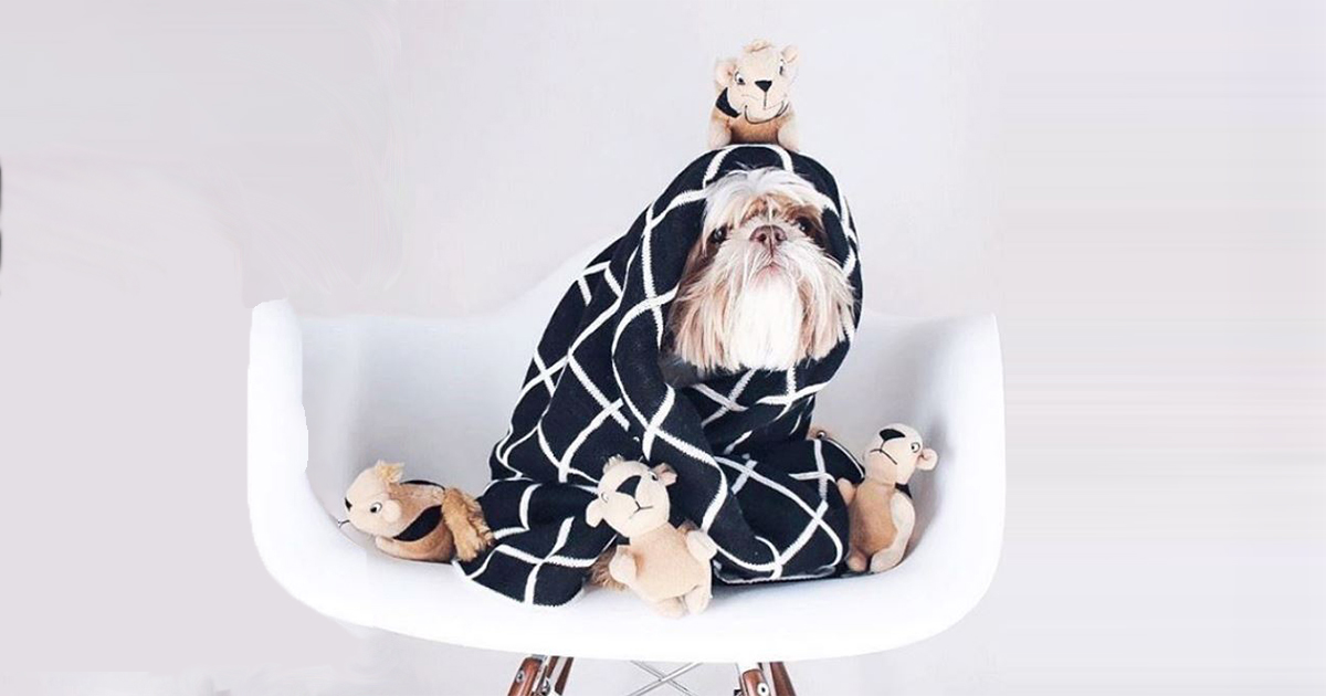 stuffed dog with puppies inside