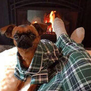 matching dog pajamas