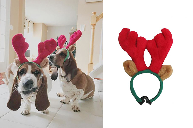 dogs dressed up for christmas