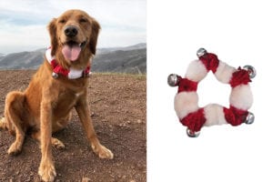 dog christmas bell collar
