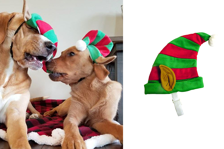 dogs wearing elf hats