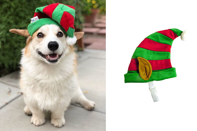 dog wearing elf hat for holiday