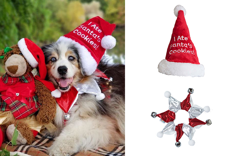 santa hat and bell collar for dogs