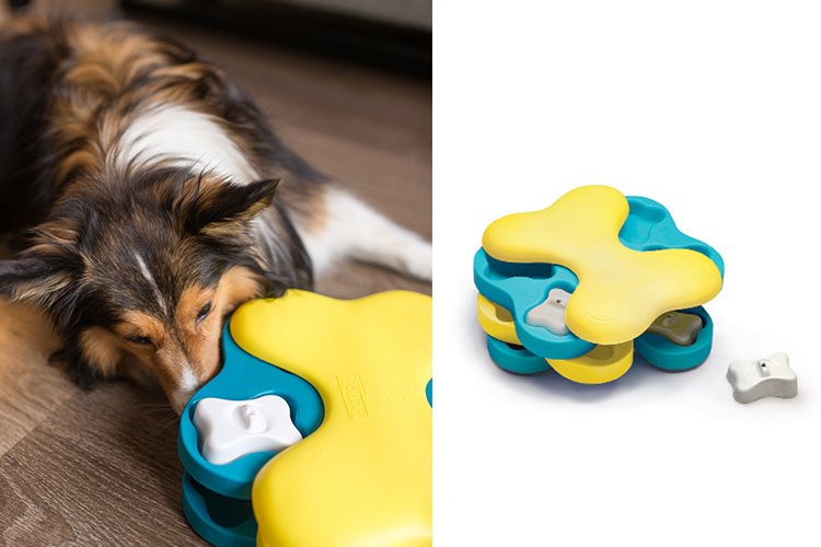interactive dog toy puppy enrichment toys