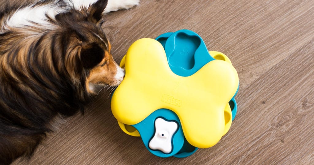 nina ottosson dog puzzle