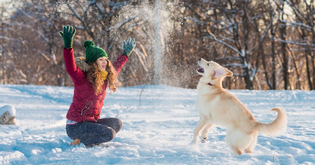 woman playing with dog in snow