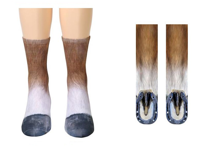 dog feet socks