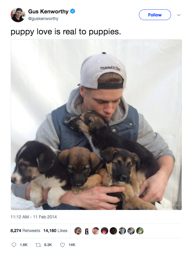 Gus Kenworthy and saved dogs