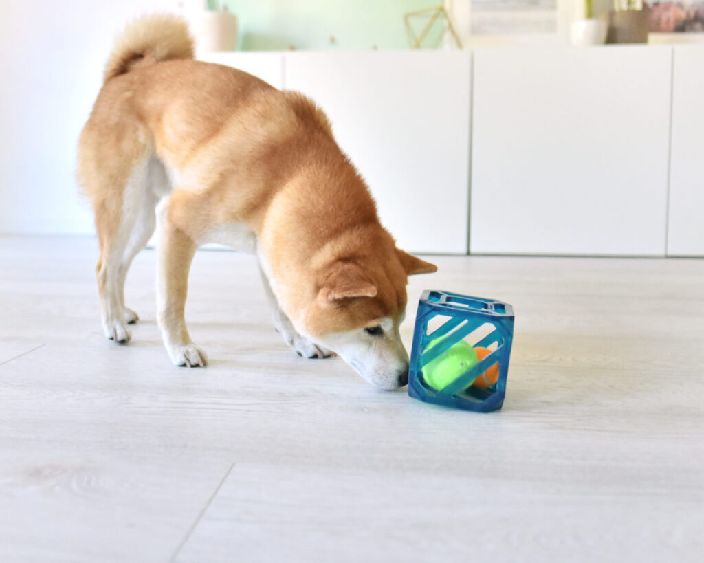 interactive dog toys puzzle cube