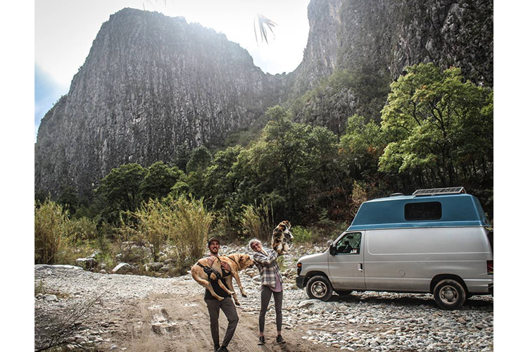 van life with a dog