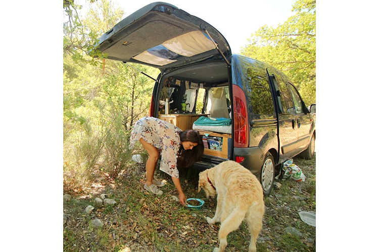 van life with a dog