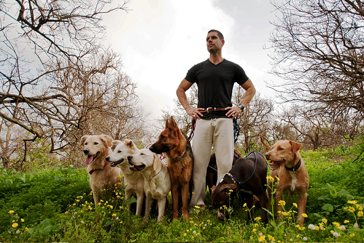 a dog trainer