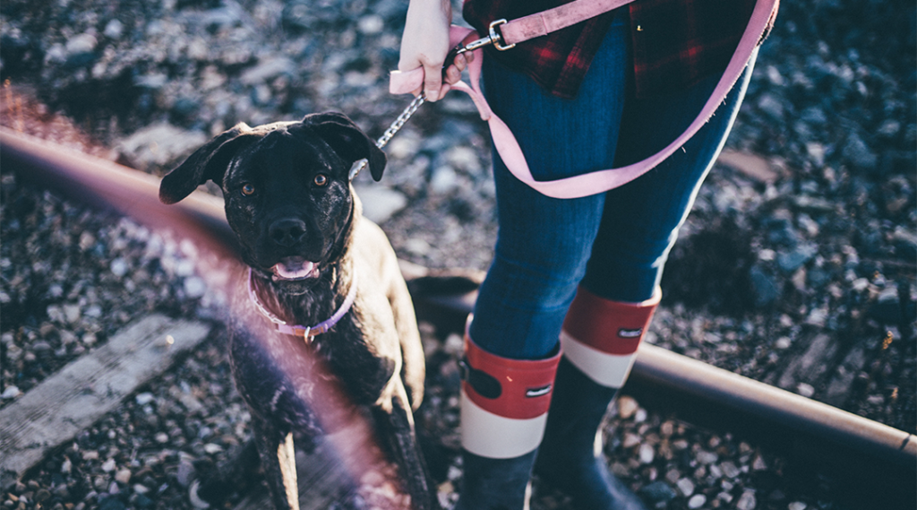 girl in boots holding on to black dog with a pink leash using dog safety commands