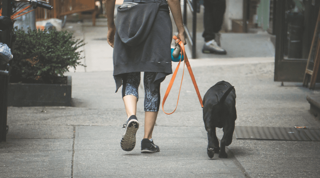 woman walking a black dog with an orange leash