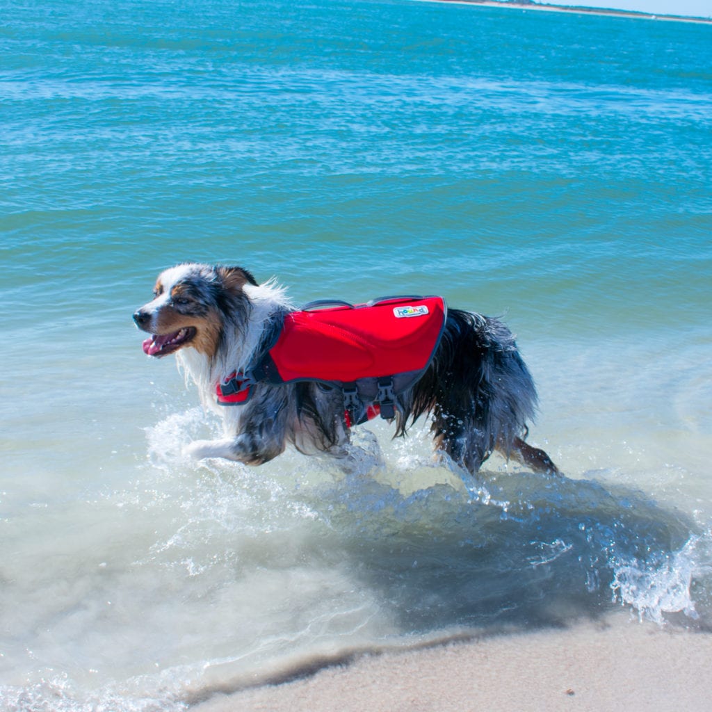 Outward Hound Granby Splash Dog Life Jacket - Paddle & Trails