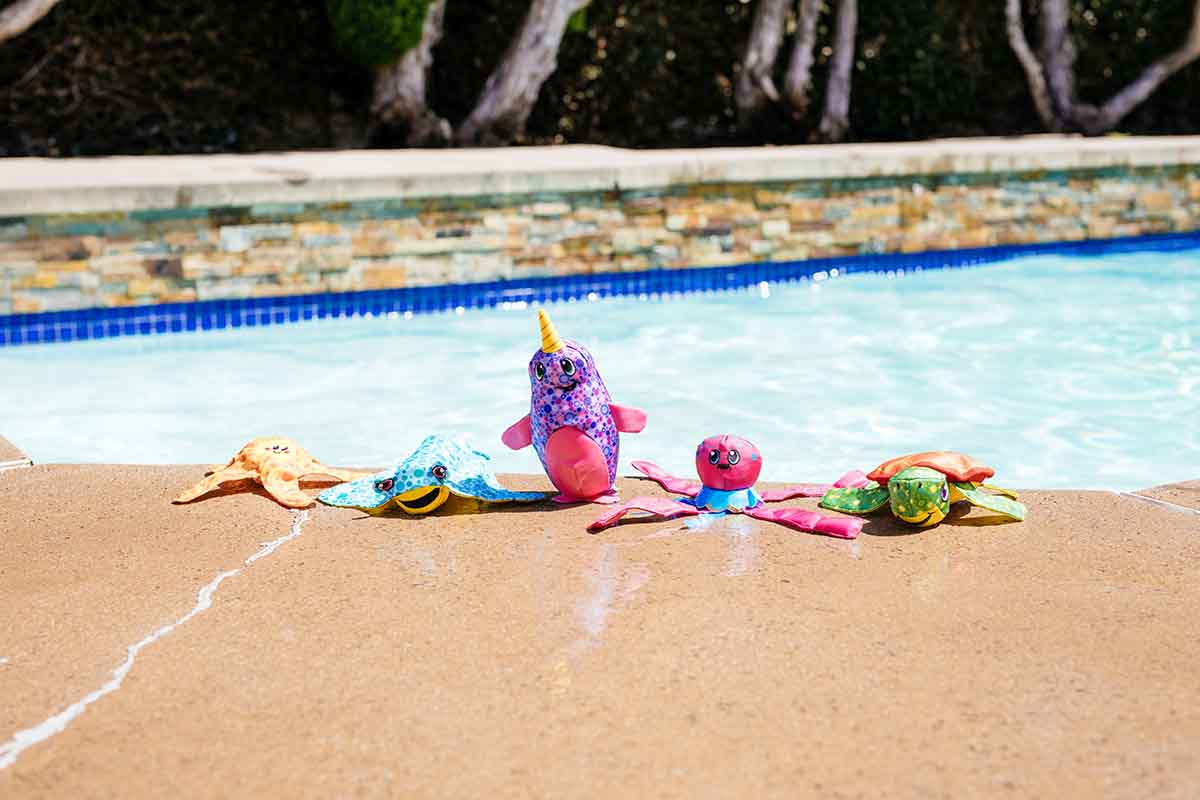 floatiez dog water toys by a pool