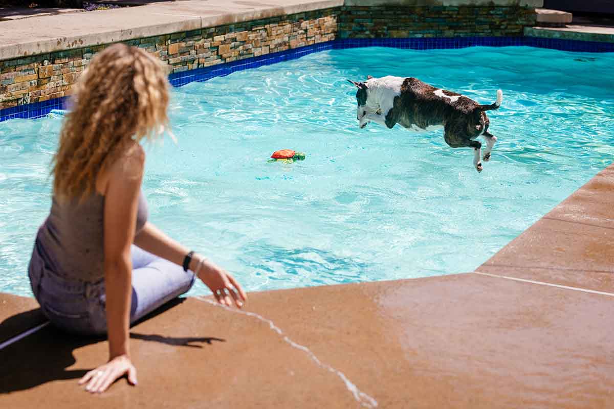 Dog Pool Toys for the Four-Legged Ariel in Your Life
