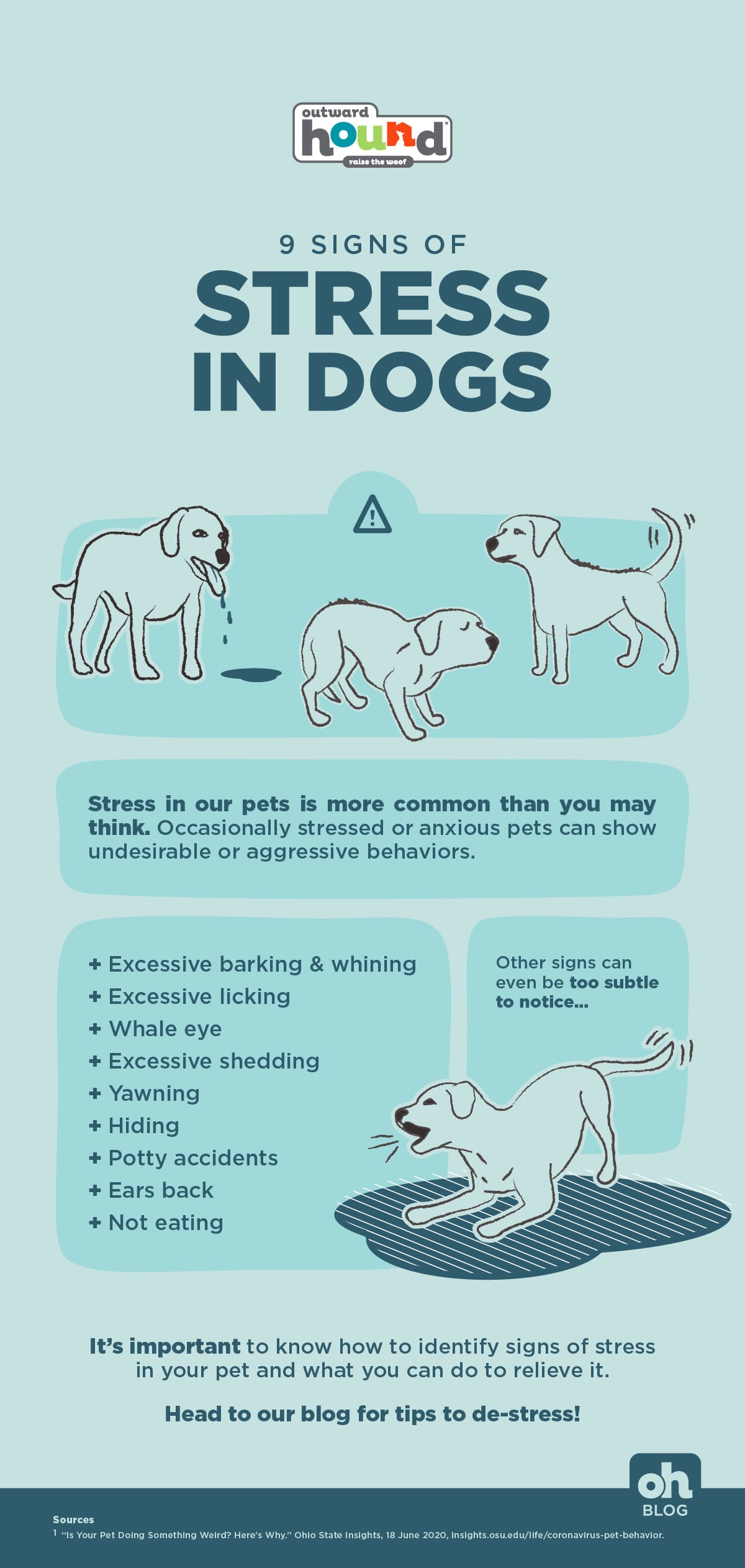 signs of stress in dogs infographic
