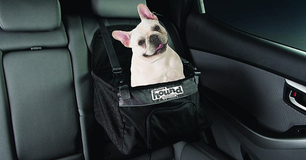 A car adventure in the Outward Hound PupBoost Car Seat.