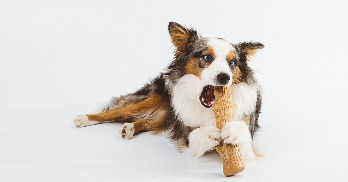 dog toys for strong chewers