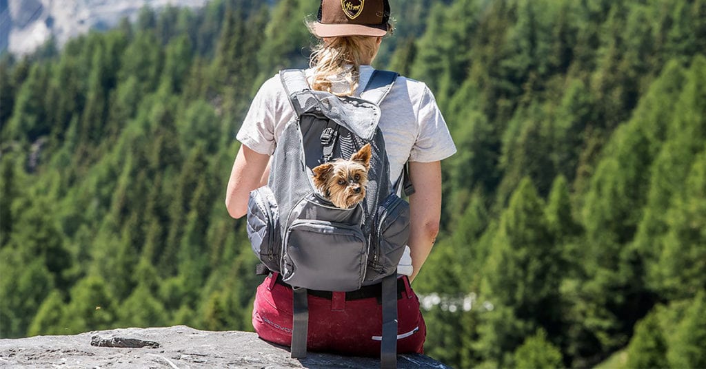 the Pooch Pouch Carriers are great small dog carriers to bring with you when hiking with dogs