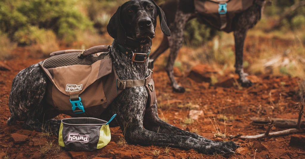 The Port-A-Bowl is essential for any road trip with a dog