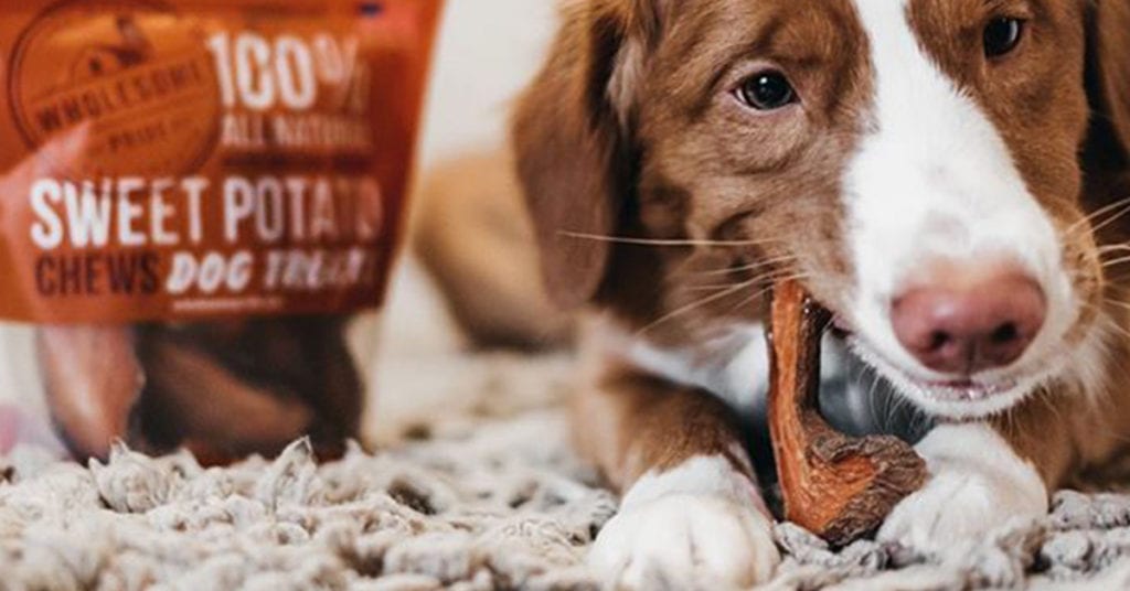 Wholesome Pride treats are great healthy treats to bring with you when hiking with dogs