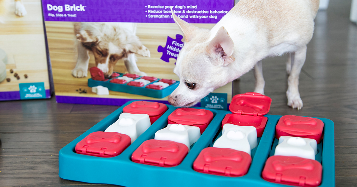 dog-brick interactive dog puzzle