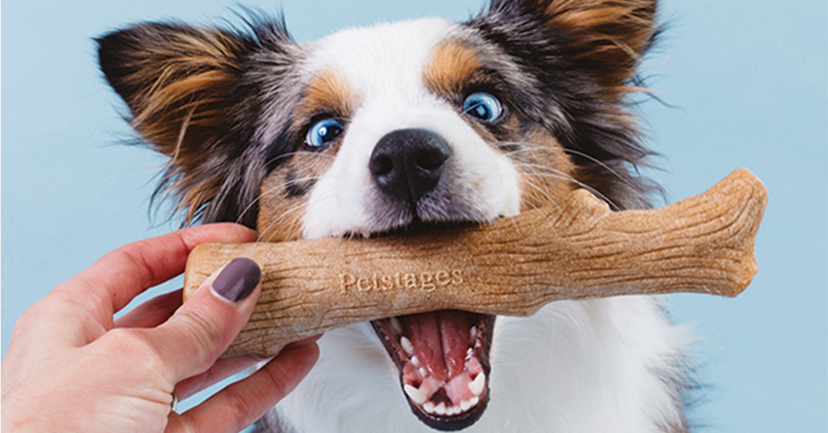 best chew toy for working breeds
