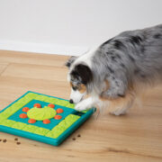 multipuzzle dog game